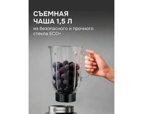 Блендер Zigmund & Shtain BS-488 D