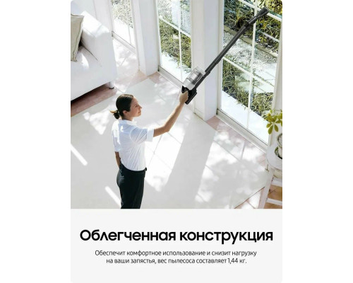 Вертикальный пылесос Samsung VS20B75ACR5/EV