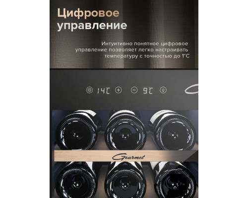 Винный шкаф Libhof GMD-15 black