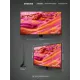 Телевизор Samsung QE43QN90FAUX