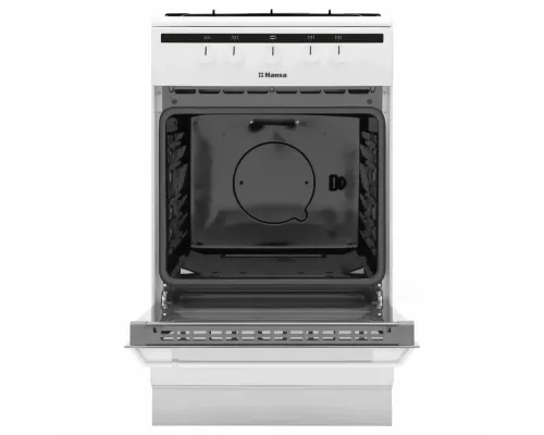 Кухонная плита Hansa FCGW51001