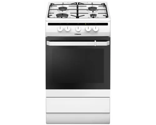 Кухонная плита Hansa FCGW51001