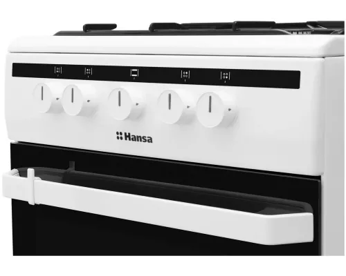 Кухонная плита Hansa FCGW51001