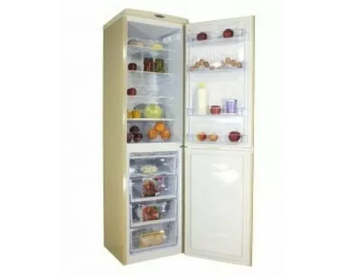 Холодильник DON R-296 ZF, золотой цветок