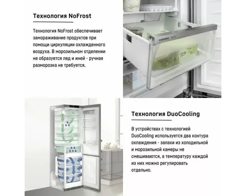 Холодильник Liebherr CNd 5204-20 001 белый цвет