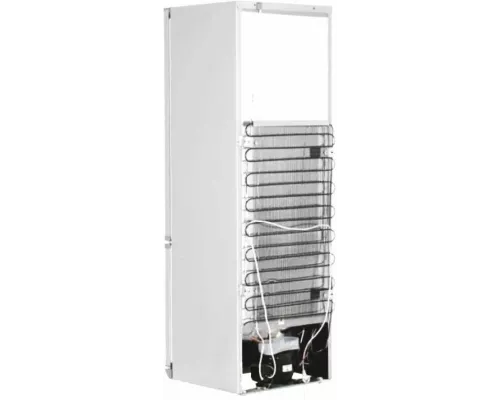 Холодильник Бирюса 6031