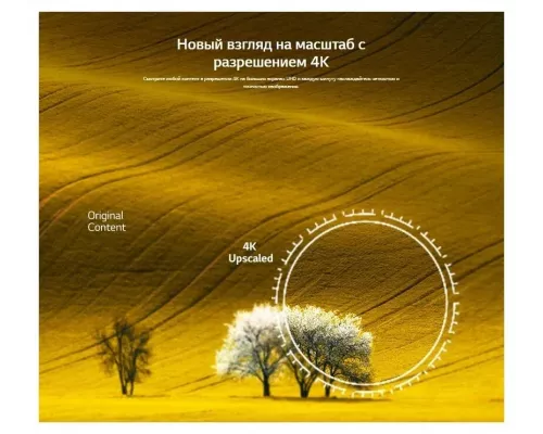 Телевизор LG 43UQ90006LD