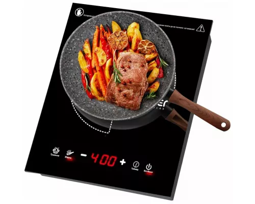 Настольная плита Endever Skyline IP-51