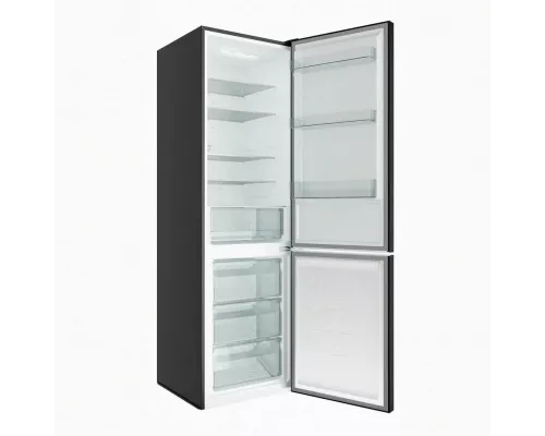 Холодильник CANDY CCRN 6200 B черный