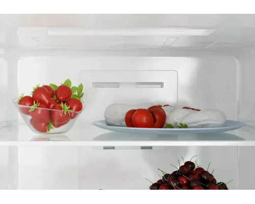 Холодильник CANDY CCRN 6200 C бежевый