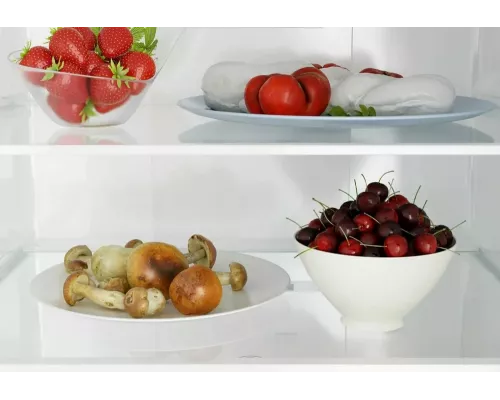 Холодильник CANDY CCRN 6200 C бежевый