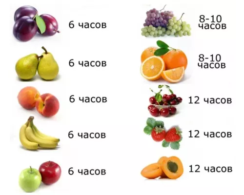 Сушилка для овощей и фруктов Ротор СШ-002-12