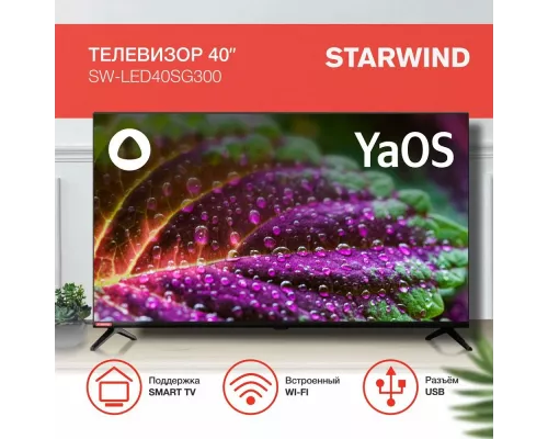 Телевизор StarWind SW-LED40SG300