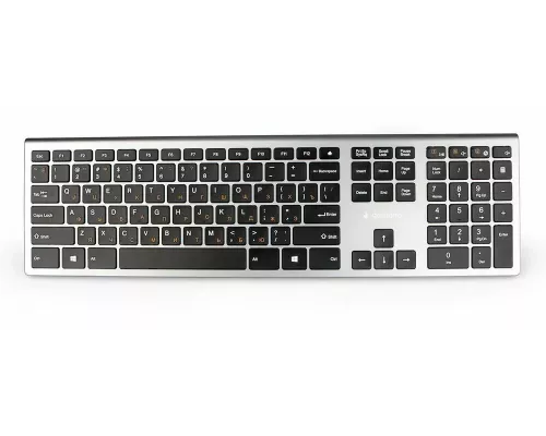 Клавиатура Gembird KBW-1