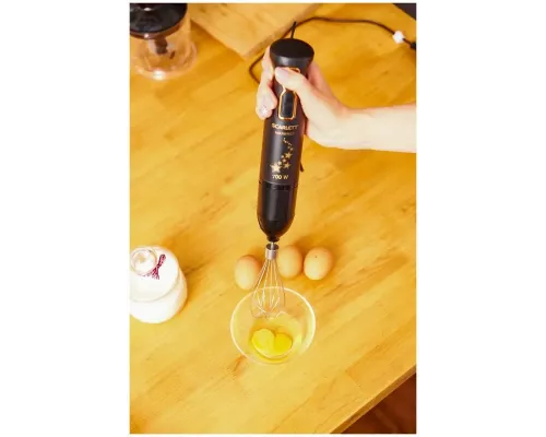 Блендер Scarlett SC-HB42F72