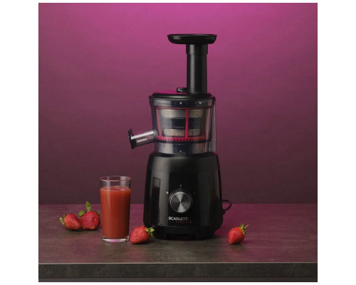 Соковыжималка Scarlett SC-JE50S54 черный Соковыжималка Scarlett SC-JE50S54 черный