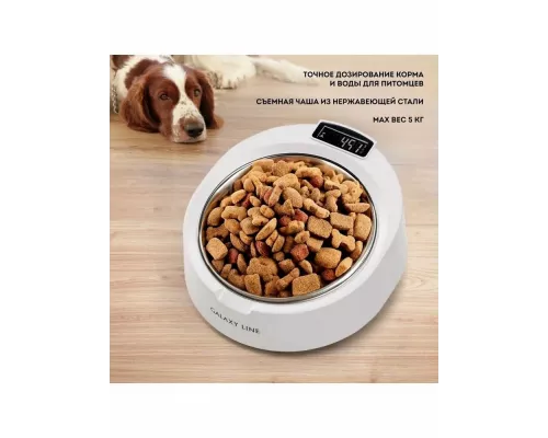 Кухонные весы GALAXY Line GL 2890