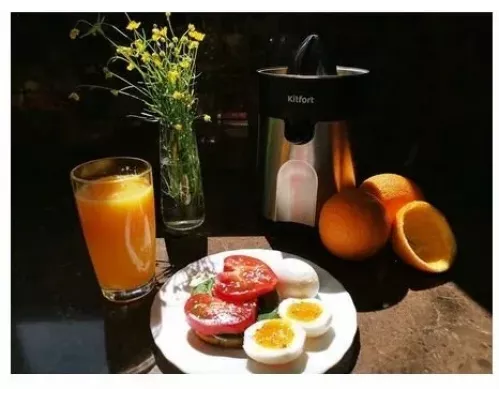 Соковыжималка Kitfort КТ-1113