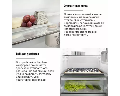Встраиваемый холодильник Liebherr ICNSf 5103-20 001