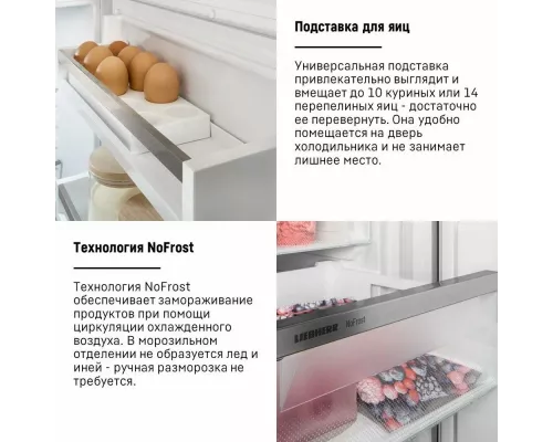 Встраиваемый холодильник Liebherr ICNSf 5103-20 001