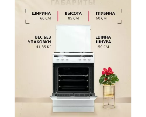 Кухонная плита Hansa FCMW680250 белый