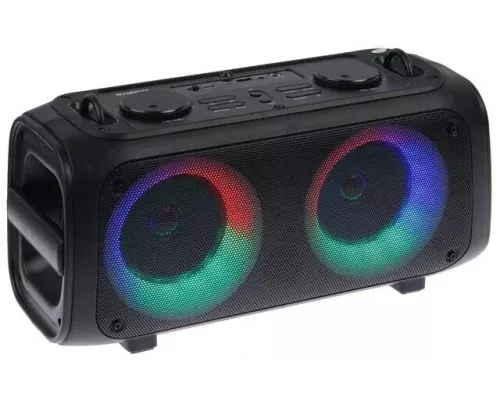 Портативная колонка Hyundai H-PS1030 черный/черный