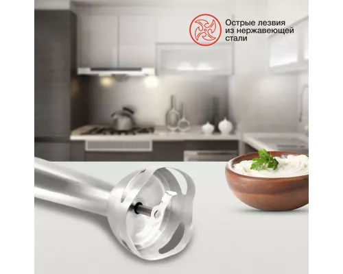 Блендер StarWind SBP2300B красный/черный