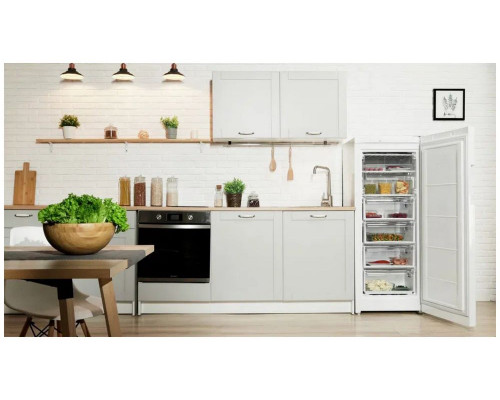 Морозильник Indesit DSZ 4150