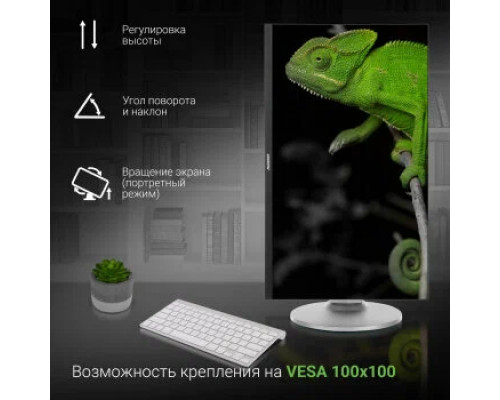 Монитор Digma 23.8" DM-MONB2407 черный IPS LED 7ms 16:9 HDMI M/M матовая HAS Pivot 250cd 178гр/178гр 1920x1080 DisplayPort FHD USB 4.8кг Монитор Digma 23.8" DM-MONB2407 черный IPS LED 7ms 16:9 HDMI M/M матовая HAS Pivot 250cd 178гр/178гр 1920x1080 DisplayPort FHD USB 4.8кг