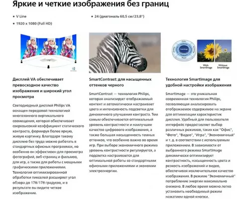 Монитор 23.8" Philips 241V8L/00(01) Black (VA, 1920x1080, 75Hz, 4 ms, 178°/178°, 250 cd/m, 3000:1, +HDMI)