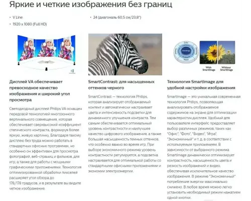 Монитор Philips 241V8LA(00/01)