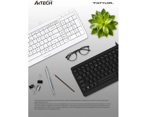 Клавиатура A4Tech Fstyler FK15 черный USB