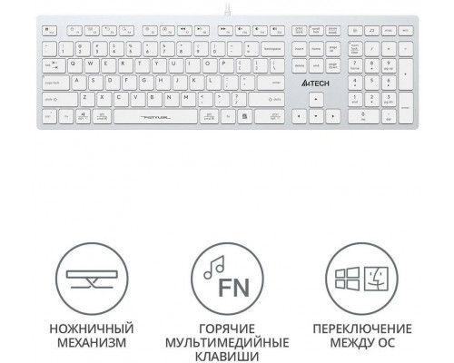 Клавиатура A4Tech Fstyler FX50 белый USB slim Multimedia