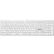 Клавиатура A4Tech Fstyler FX50 белый USB slim Multimedia