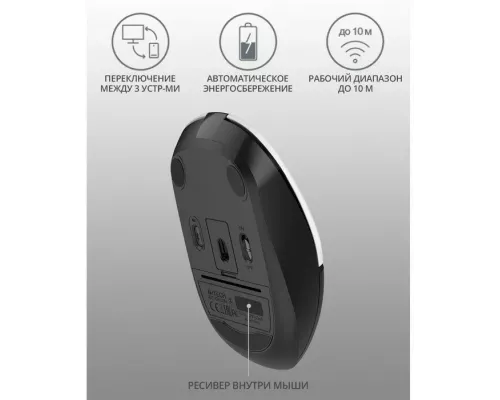 Мышь A4Tech Fstyler FB12 белый/черный