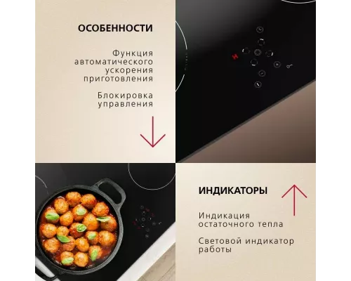 Варочная поверхность Hansa BHC66506 черный