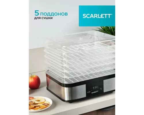 Сушилка для овощей и фруктов Scarlett SC-FD421T19 серебристый