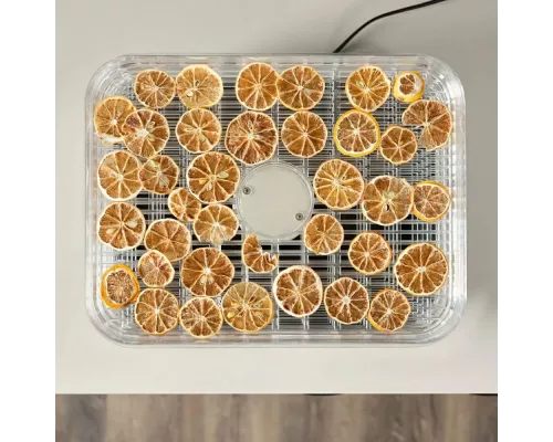 Сушилка для овощей и фруктов Scarlett SC-FD421T19 серебристый