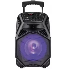 Музыкальный центр NATIONAL NSM-V100