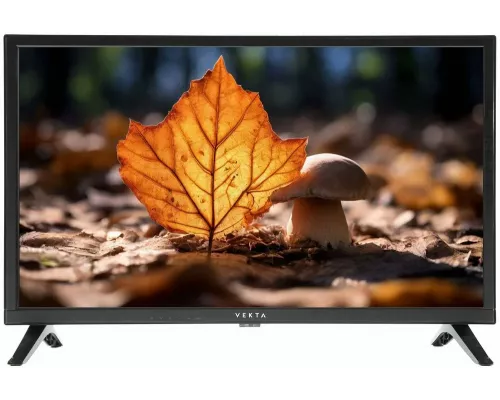 Телевизор VEKTA LD-24SR4850BS