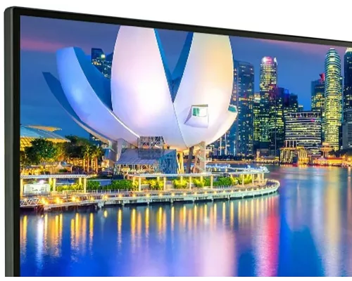 Монитор 29" LG UltraWide 29WP500-B черный IPS LED 21:9 (Ultrawide) HDMI матовая 250cd 178гр/178гр 2560x1080 FHD 5.2кг