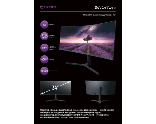 Монитор IRBIS VIEWORLD IMVW34UIDL 34'' LED Monitor Curved 3440x1440, 21:9, VA, 400 cd/m2, 5ms, HDMIx2, DP, USB-С(65W), USB-Ax2, USB-B, Audio Jack (In/Out), Speakers, 165Hz, HAS, Tilt, Black