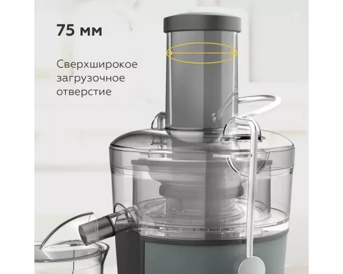 Соковыжималка BQ J1008 Gray-Black