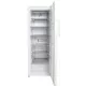 Морозильная камера Beko RFSK215T01W