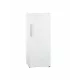 Морозильная камера Beko RFSK215T01W